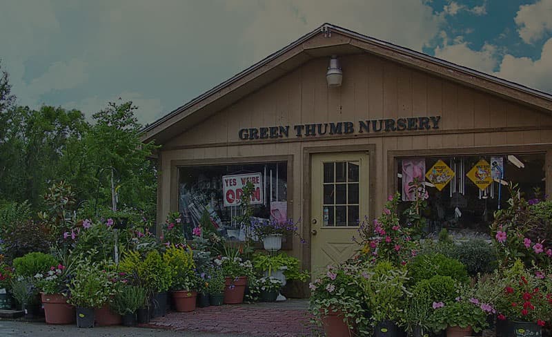 green-thumb-hero-1.jpg