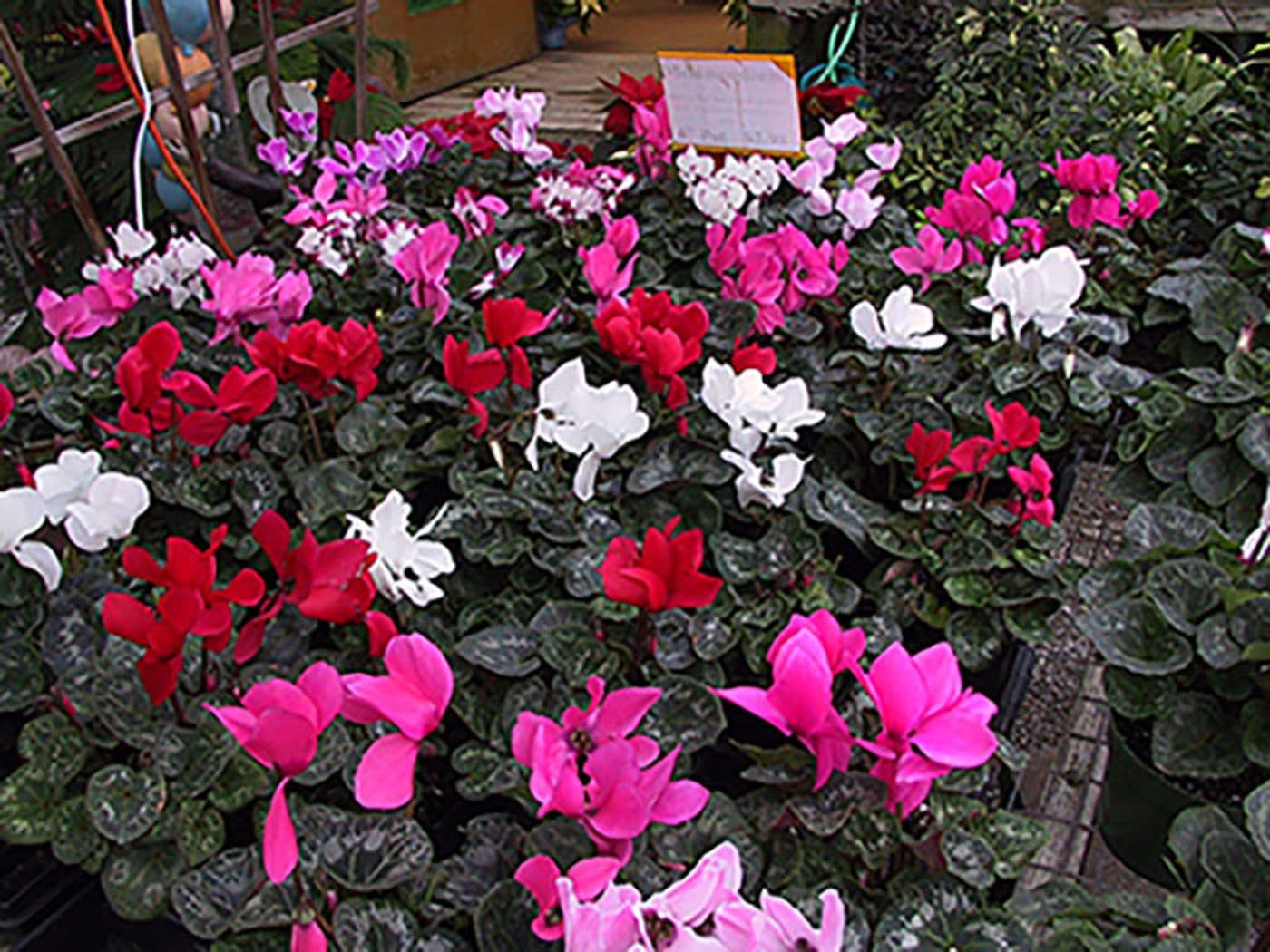 191-9146_IMG.jpg