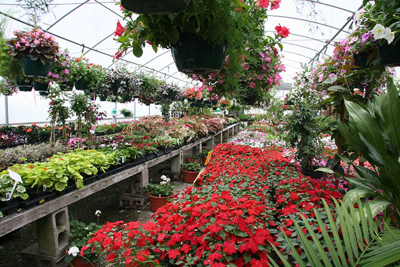 my nursery.jpg