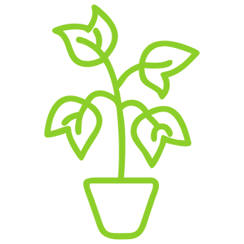 repotting.png