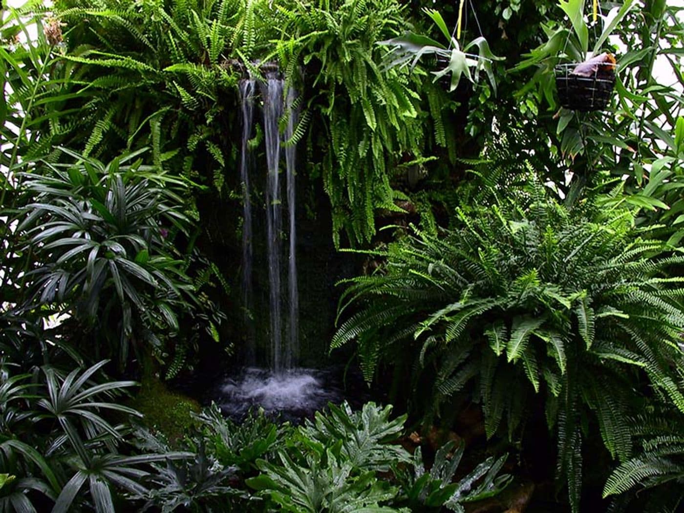 waterfall1.jpg